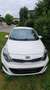 Kia Rio Rio 1,2 MPI Titan Titan Weiß - thumbnail 1