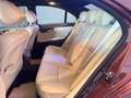 Mercedes-Benz S 350 Aut. Burdeos - thumbnail 15