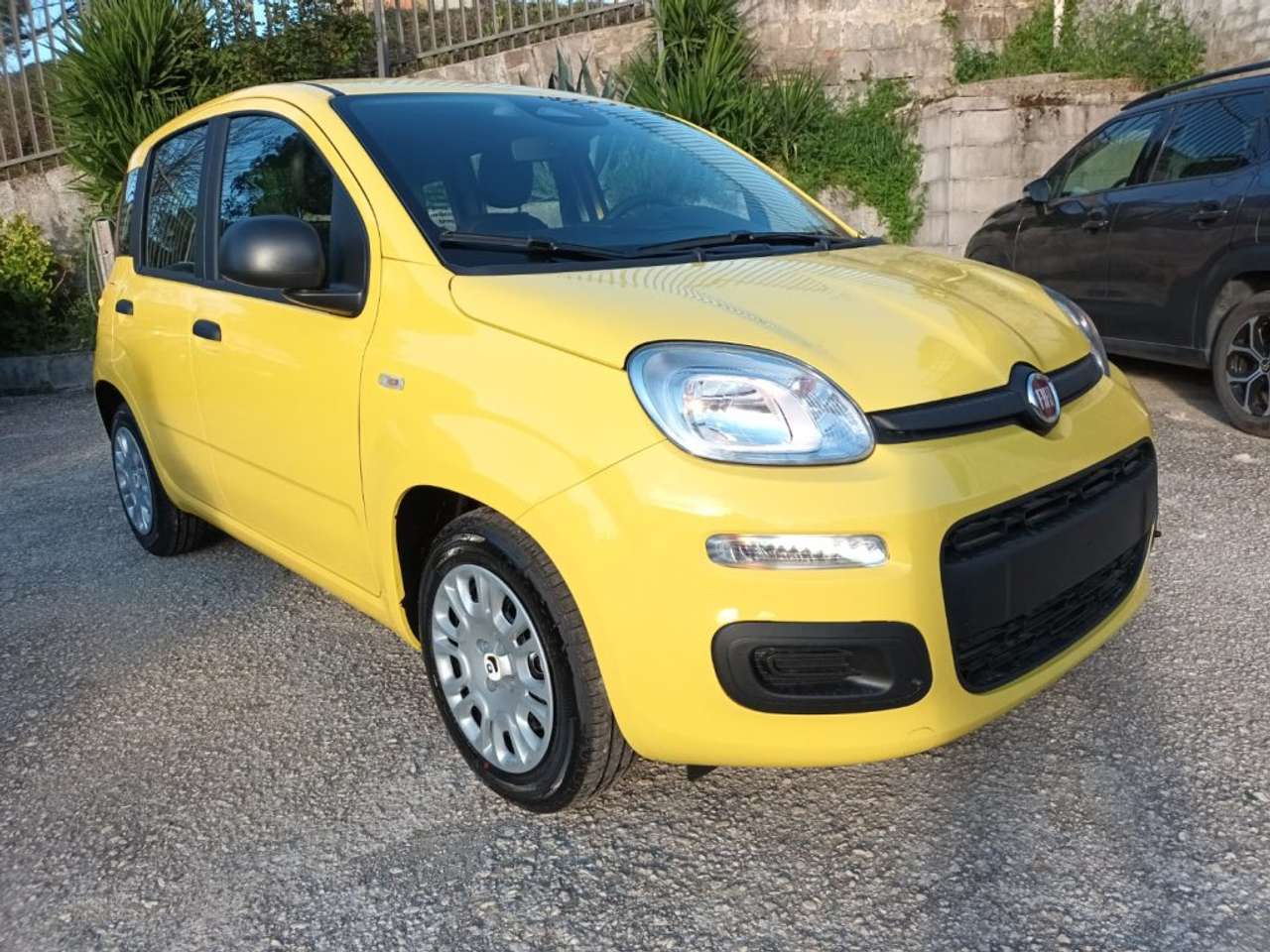 Fiat Panda 1000 HYBRID PANDINA POP 65CV ITALIA