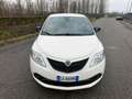 Lancia Ypsilon Ypsilon III 2015 1.2 Gold s Weiß - thumbnail 9