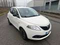 Lancia Ypsilon Ypsilon III 2015 1.2 Gold s Weiß - thumbnail 11