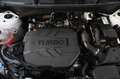 Kia Sportage Sportage 1.6 crdi mhev GT-line Plus Premium Pack - thumbnail 12