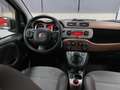 Fiat Panda 1.3 MJT 16V CROSS 4x4 S Vert - thumbnail 39
