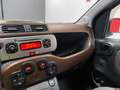 Fiat Panda 1.3 MJT 16V CROSS 4x4 S Vert - thumbnail 11