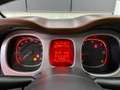 Fiat Panda 1.3 MJT 16V CROSS 4x4 S Vert - thumbnail 10