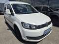 Volkswagen Caddy Kombi Trendline 1,6 TDI DPF Weiß - thumbnail 2
