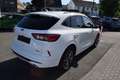 Ford Kuga ST-Line 2.0l EcoBlue 120PS Automatik Weiß - thumbnail 3