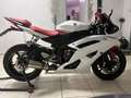 Yamaha YZF-R6 sportiva Bianco - thumbnail 4