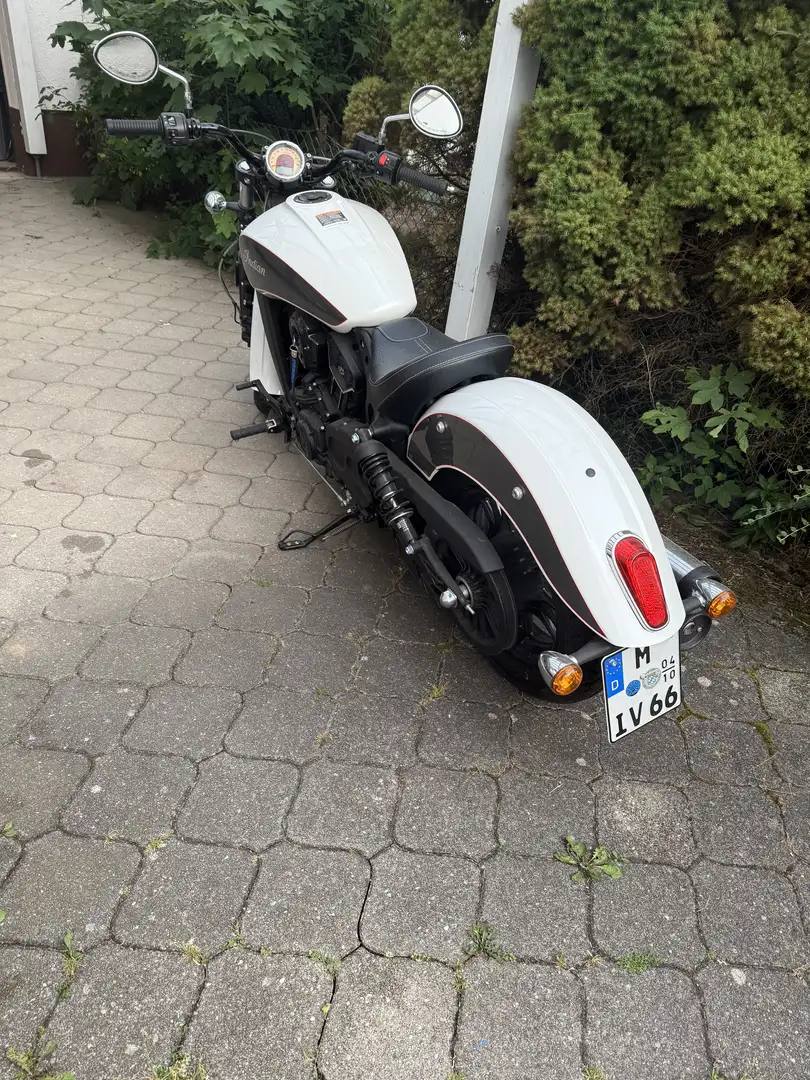 Indian Scout Sixty Weiß - 2