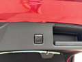 Ford Kuga 1,5 EcoBlue Titanium Rot - thumbnail 11
