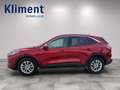 Ford Kuga 1,5 EcoBlue Titanium Rot - thumbnail 2