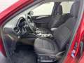 Ford Kuga 1,5 EcoBlue Titanium Rot - thumbnail 5