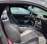 Ford Mustang 5.0 Ti-VCT V8 331kW  GT (Fastb.) Gris - thumbnail 6