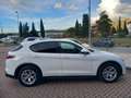 Alfa Romeo Stelvio Stelvio 2.2 Turbodiesel Business 160cv AT8 RWD Bianco - thumbnail 4