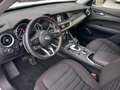 Alfa Romeo Stelvio Stelvio 2.2 Turbodiesel Business 160cv AT8 RWD Blanco - thumbnail 20