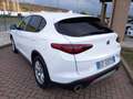 Alfa Romeo Stelvio Stelvio 2.2 Turbodiesel Business 160cv AT8 RWD Bianco - thumbnail 7