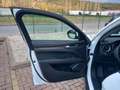 Alfa Romeo Stelvio Stelvio 2.2 Turbodiesel Business 160cv AT8 RWD Blanco - thumbnail 22