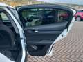 Alfa Romeo Stelvio Stelvio 2.2 Turbodiesel Business 160cv AT8 RWD Blanco - thumbnail 26