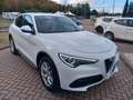 Alfa Romeo Stelvio Stelvio 2.2 Turbodiesel Business 160cv AT8 RWD Bianco - thumbnail 3
