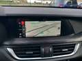 Alfa Romeo Stelvio Stelvio 2.2 Turbodiesel Business 160cv AT8 RWD Bianco - thumbnail 11