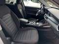 Alfa Romeo Stelvio Stelvio 2.2 Turbodiesel Business 160cv AT8 RWD Blanco - thumbnail 27