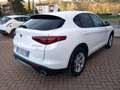 Alfa Romeo Stelvio Stelvio 2.2 Turbodiesel Business 160cv AT8 RWD Bianco - thumbnail 5