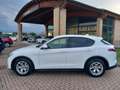 Alfa Romeo Stelvio Stelvio 2.2 Turbodiesel Business 160cv AT8 RWD Bianco - thumbnail 8