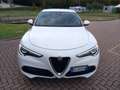 Alfa Romeo Stelvio Stelvio 2.2 Turbodiesel Business 160cv AT8 RWD Bianco - thumbnail 2