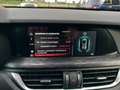 Alfa Romeo Stelvio Stelvio 2.2 Turbodiesel Business 160cv AT8 RWD Bianco - thumbnail 15