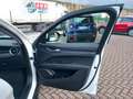 Alfa Romeo Stelvio Stelvio 2.2 Turbodiesel Business 160cv AT8 RWD Blanco - thumbnail 28