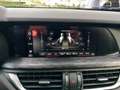 Alfa Romeo Stelvio Stelvio 2.2 Turbodiesel Business 160cv AT8 RWD Bianco - thumbnail 13
