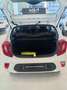 Kia Picanto 1.0 DPi Concept Blanco - thumbnail 6