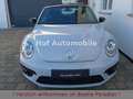 Volkswagen Beetle 1.4TSI Design Black-Line Navi DAB SHZ PDC Weiß - thumbnail 6