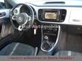 Volkswagen Beetle 1.4TSI Design Black-Line Navi DAB SHZ PDC Weiß - thumbnail 12