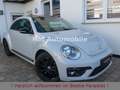 Volkswagen Beetle 1.4TSI Design Black-Line Navi DAB SHZ PDC Weiß - thumbnail 1
