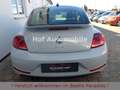 Volkswagen Beetle 1.4TSI Design Black-Line Navi DAB SHZ PDC Weiß - thumbnail 17