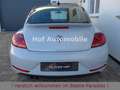 Volkswagen Beetle 1.4TSI Design Black-Line Navi DAB SHZ PDC Weiß - thumbnail 7