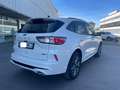 Ford Kuga 2.5 Duratec PHEV ST-Line X Graphite Tech 4x2 Blanc - thumbnail 6