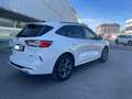 Ford Kuga 2.5 Duratec PHEV ST-Line X Graphite Tech 4x2 Blanc - thumbnail 7