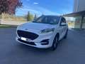Ford Kuga 2.5 Duratec PHEV ST-Line X Graphite Tech 4x2 Blanc - thumbnail 12