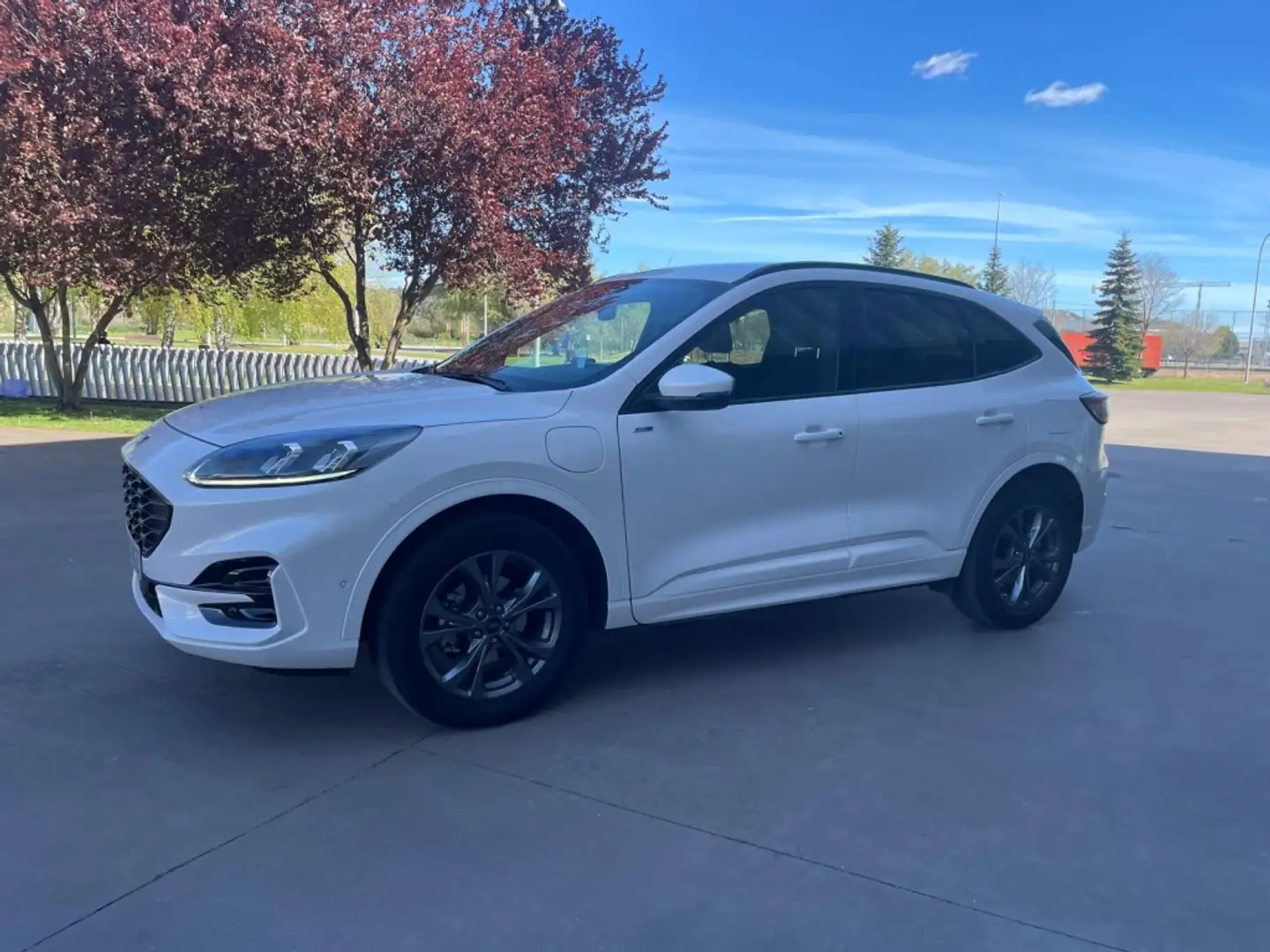 Ford Kuga 2.5 Duratec PHEV ST-Line X Graphite Tech 4x2 Blanc - 2