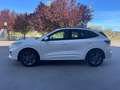 Ford Kuga 2.5 Duratec PHEV ST-Line X Graphite Tech 4x2 Blanc - thumbnail 3