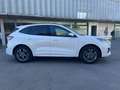 Ford Kuga 2.5 Duratec PHEV ST-Line X Graphite Tech 4x2 Blanc - thumbnail 8