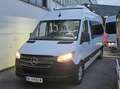 Mercedes-Benz Sprinter Sprinter Tourer 316 CDI 3,5t / 3.250 mm 4x4 Weiß - thumbnail 1