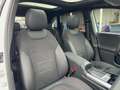Mercedes-Benz B 220 d AMG Line KeyGo|S-Dach|Standhz|TWA|AHK Blanc - thumbnail 20
