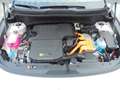 Kia Niro 1.6 GDi PLUGIN HYBRIDE COMFORTLINE 23 KM !! Bianco - thumbnail 35