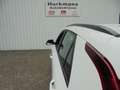 Kia Niro 1.6 GDi PLUGIN HYBRIDE COMFORTLINE 23 KM !! Bianco - thumbnail 12