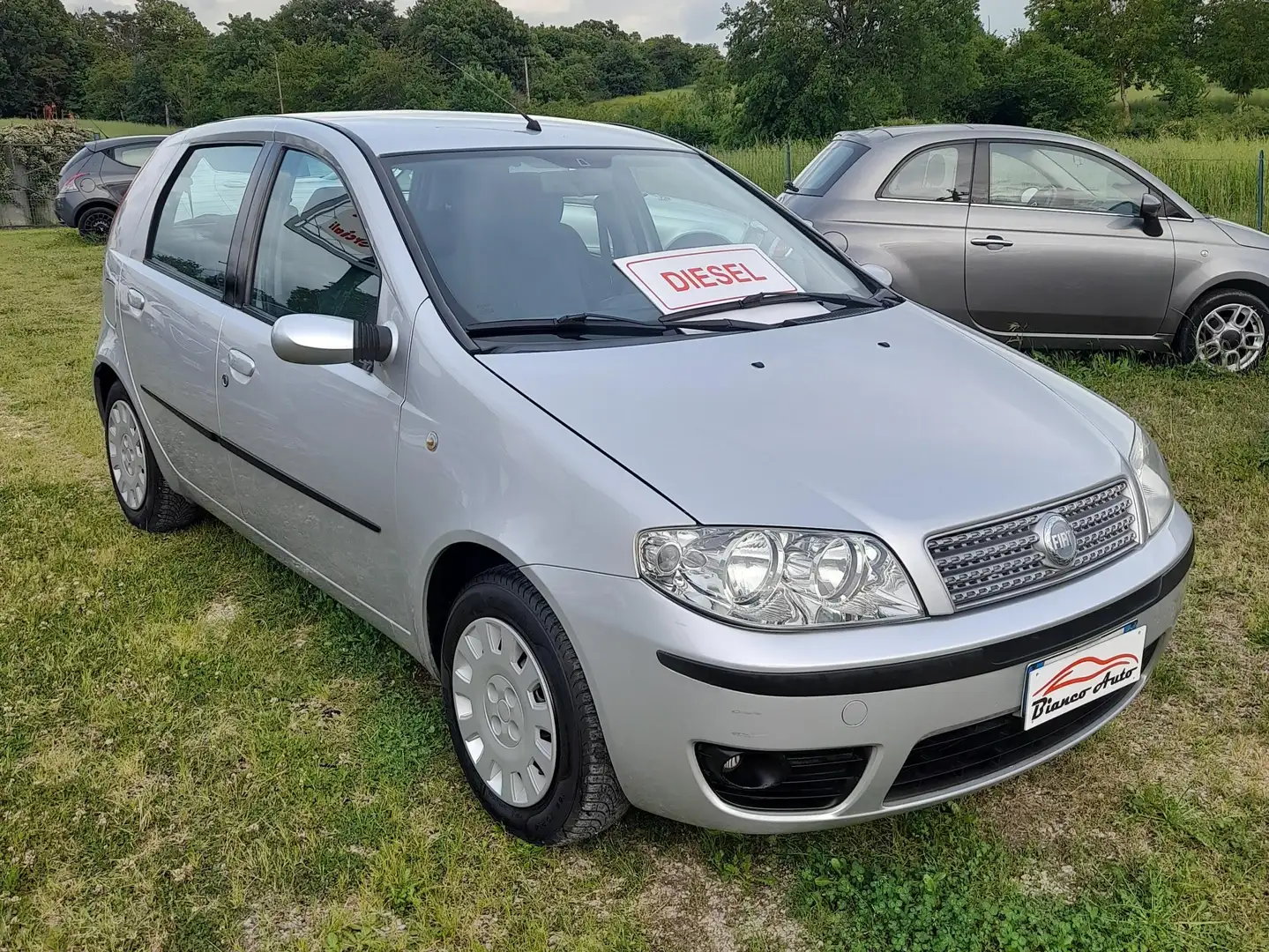 Fiat Punto 1.3 MJT CLASSIC DYNAMIC Grigio - 2