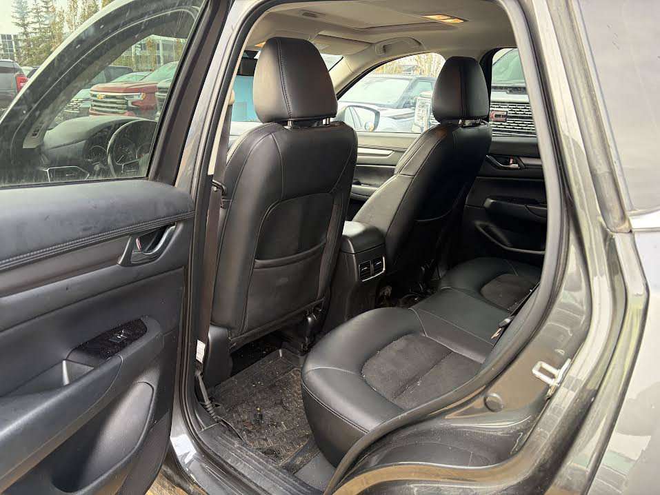 Image 5