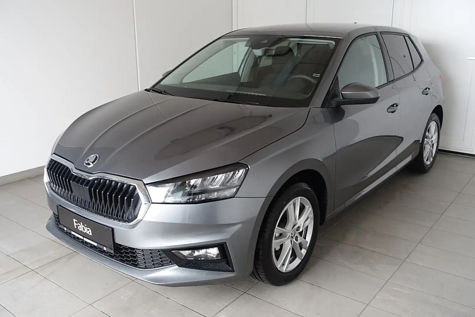 Skoda Fabia Selection 1,0 Grau - 1